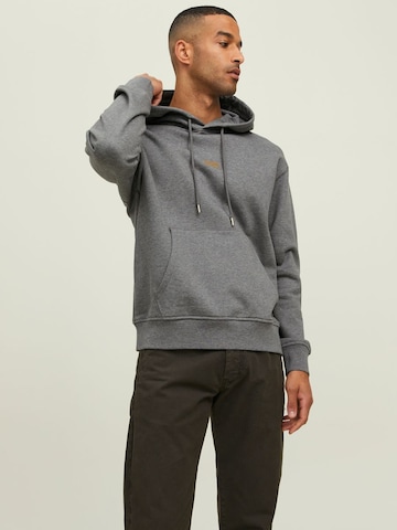 R.D.D. ROYAL DENIM DIVISION Sweatshirt 'Bill' in Grijs: voorkant