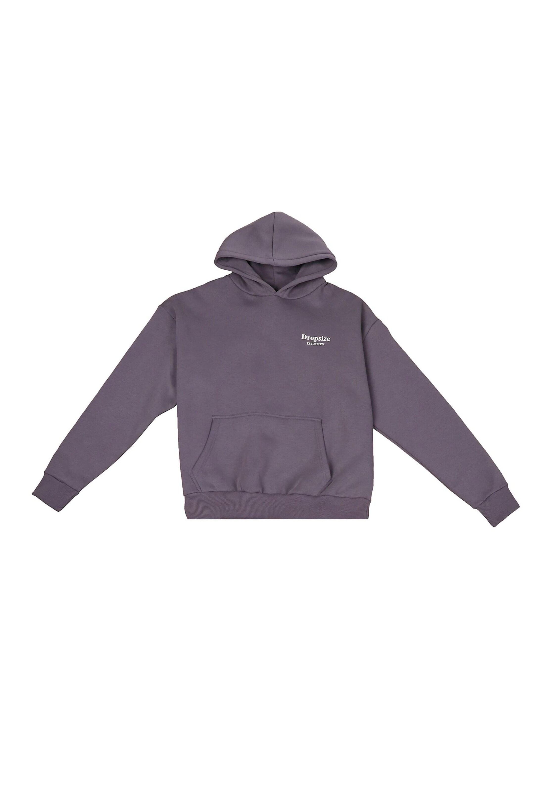Dropsize Sweatshirt in Grau: Vorderseite