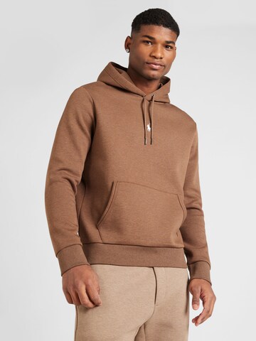 Polo Ralph Lauren Sweatshirt in Brown: front