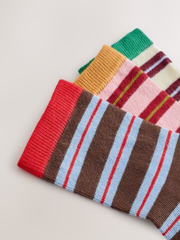 Chaussettes Next en mélange de couleurs