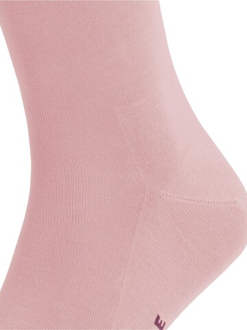 FALKE Socks 'Tiago' in Pink