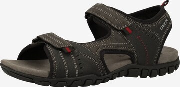 GEOX Hiking Sandals 'Mito' in Black: front