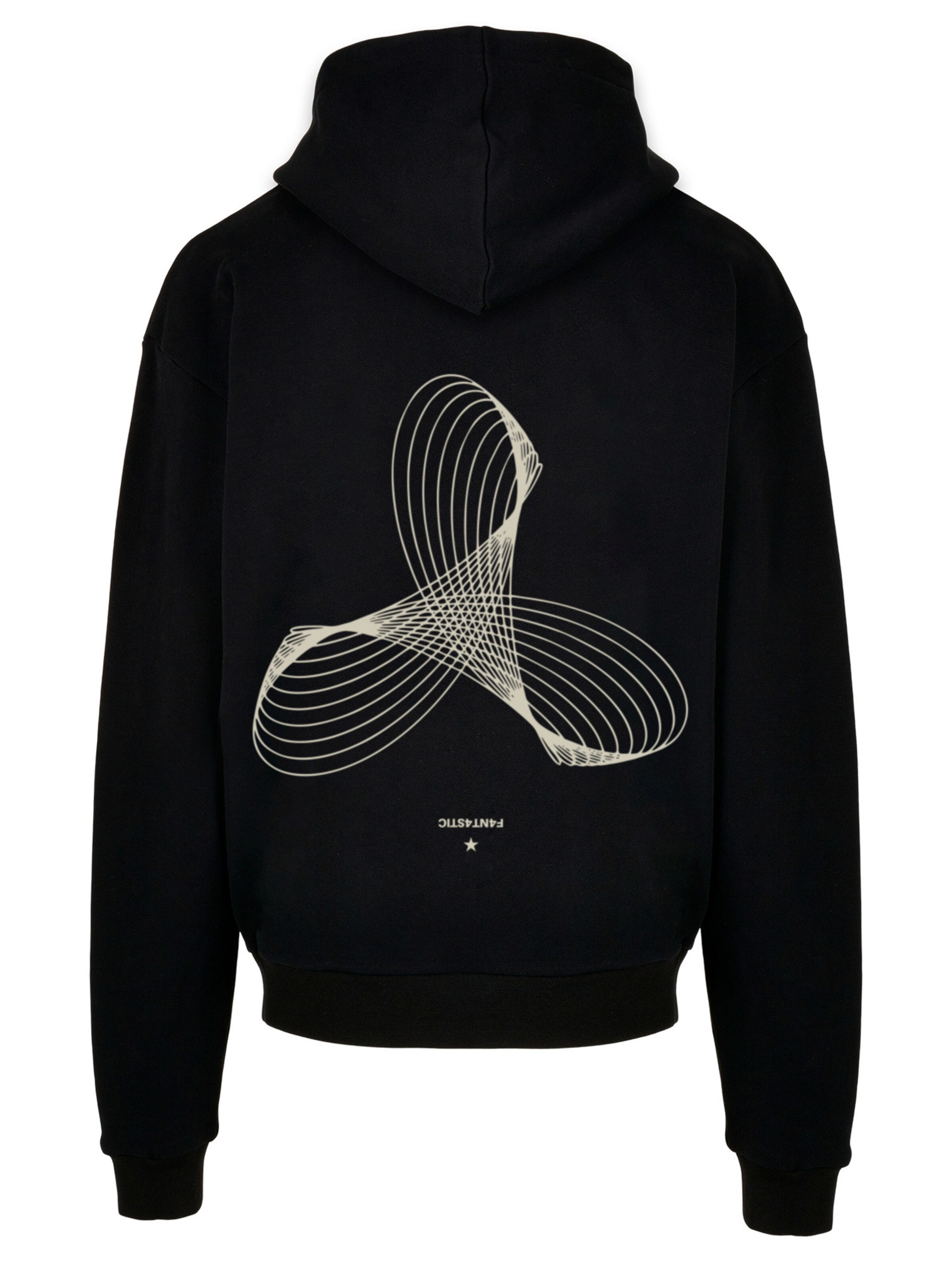 F4NT4STIC Sweatshirt 'Geometrics' in Zwart