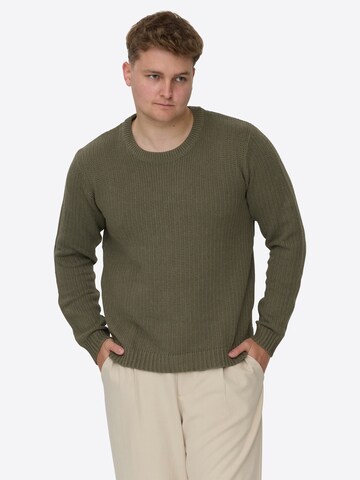 Dxnmxrk Sweater 'DXFae' in Green: front