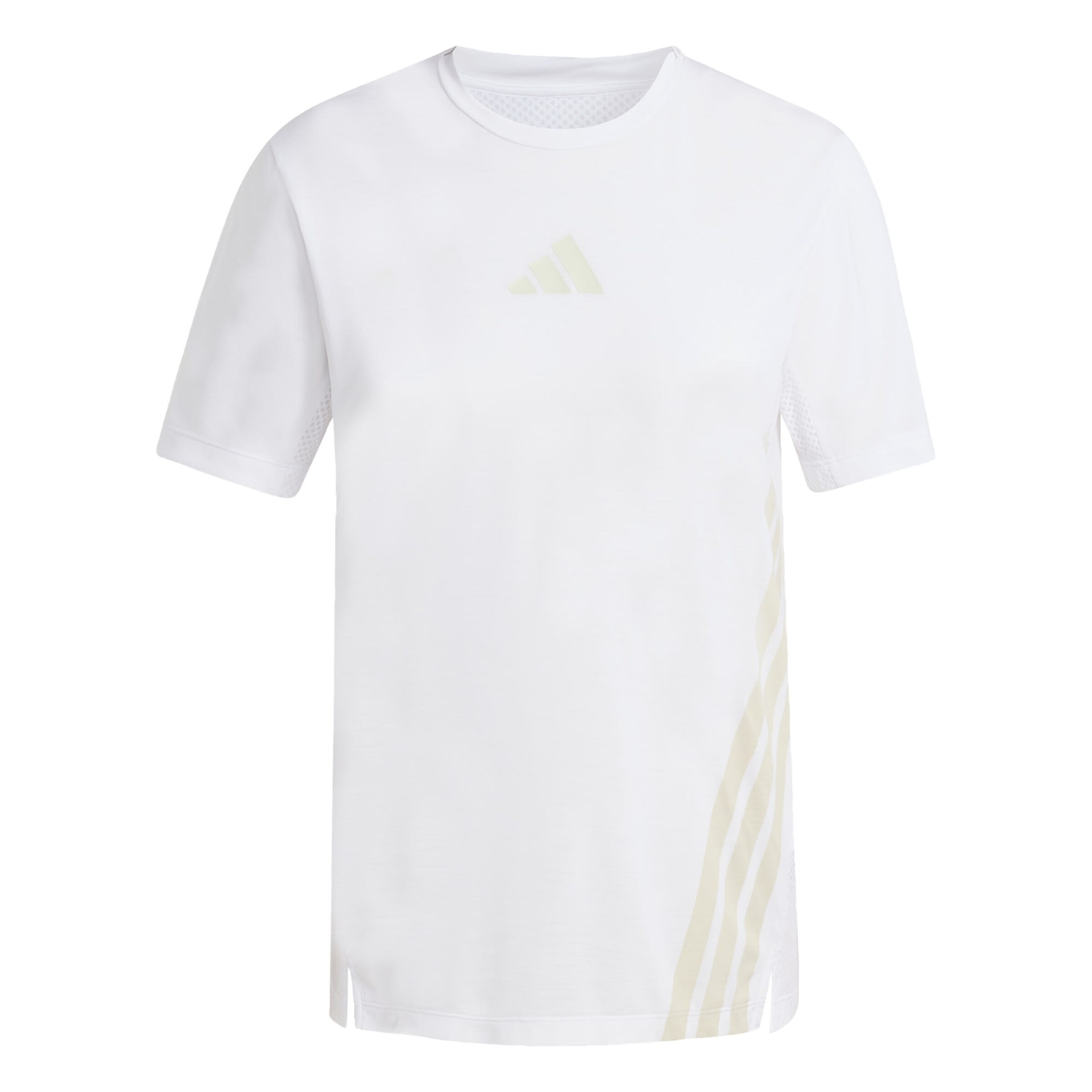 ADIDAS TERREX Funktionsshirt 'Xperior' in Weiß: Vorderseite