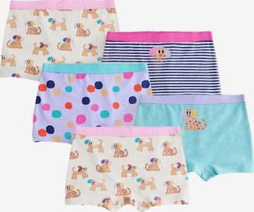 Next Unterhose in Mischfarben: Vorderseite