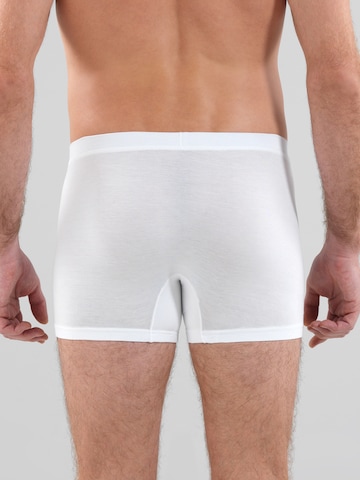 Boxers ' Silver ' Blackspade en blanc