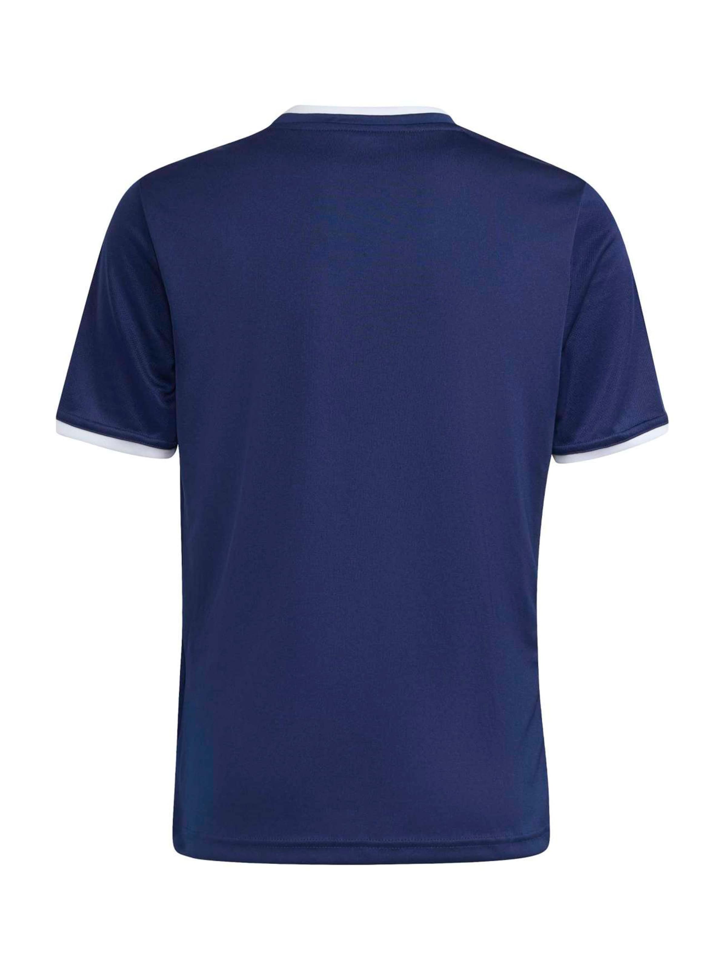 ADIDAS PERFORMANCE Trikot 'ENT26' in Blau