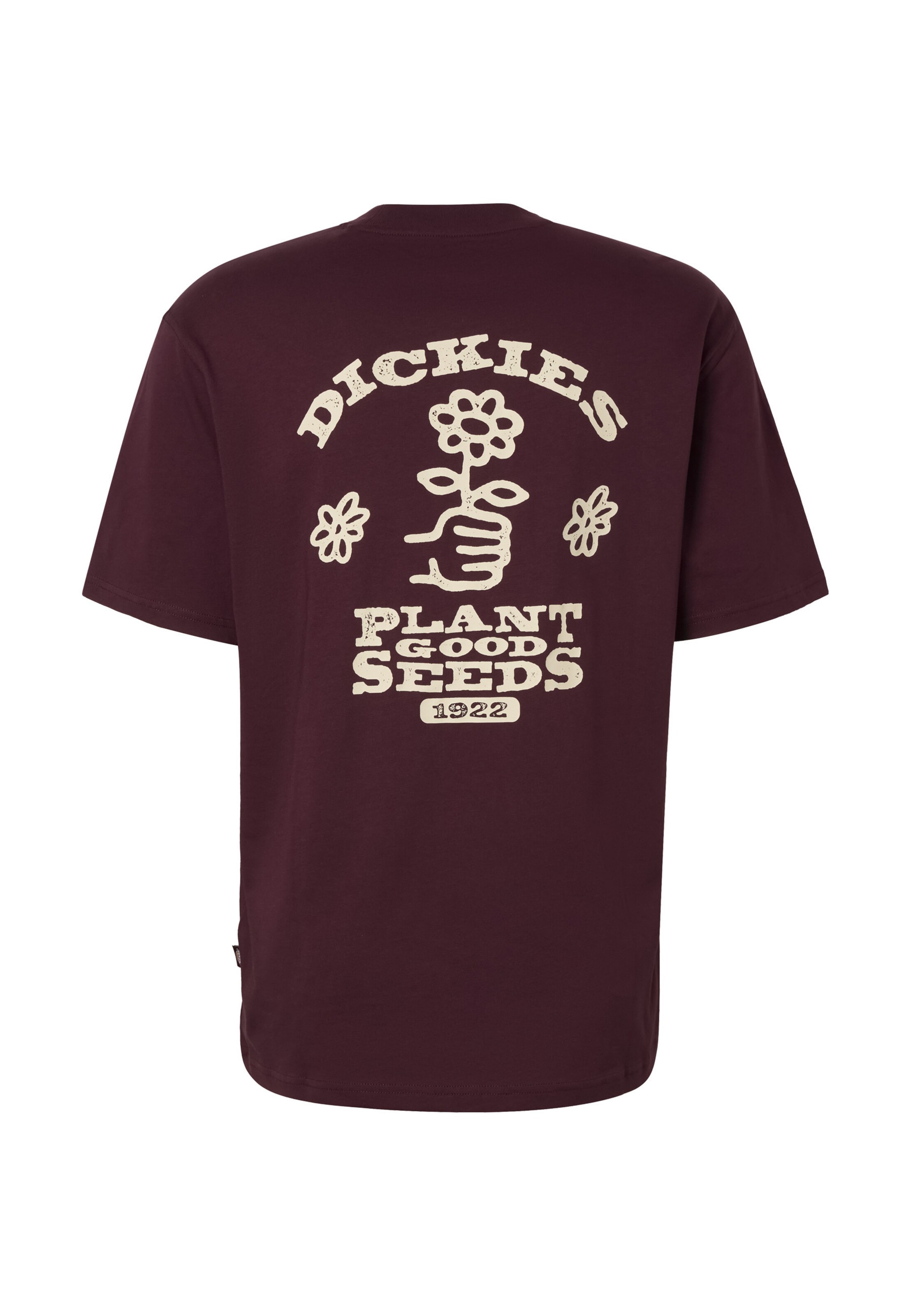 Maglietta 'GOOD SEEDS' di DICKIES in rosso: dietro