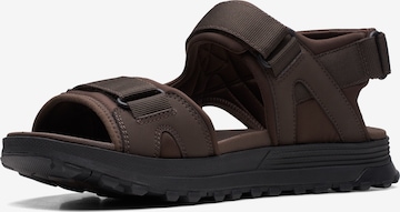 CLARKS Sandals in Brown: front