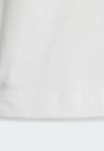 ADIDAS ORIGINALS Set in Orange