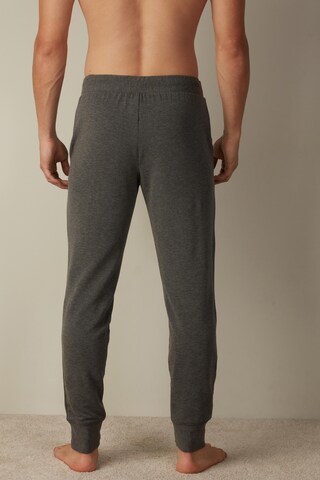 INTIMISSIMI Tapered Pants in Grey