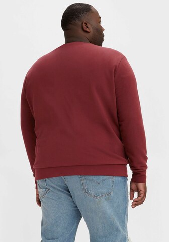 Levi's® Big & Tall Sweatshirt in Rot