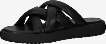 SALAMANDER Mules in Black: front