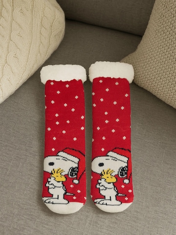 Snoopy & Die Peanuts Socken‌‌‌ in Rot