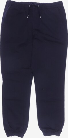 hessnatur Pants in 31-32 in Blue: front