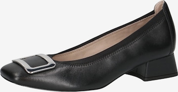 CAPRICE Pumps in Black: front