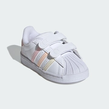 Baskets ' Superstar  ' ADIDAS ORIGINALS en blanc