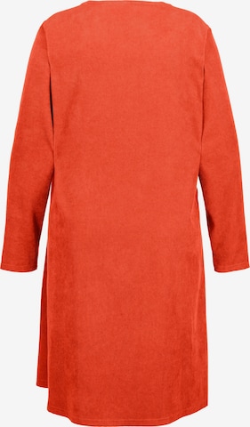 Ulla Popken Dress in Red