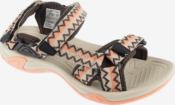Sandales 'CMP Hamal Wmn Hiking Sandal' CMP en marron : devant