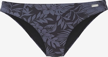 VENICE BEACH Bikini bottom in Black: front