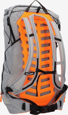 SALEWA Sports Backpack in Grey