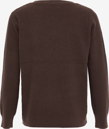 dulcey Pullover in Braun