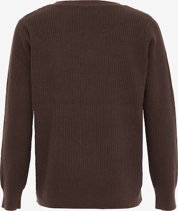 dulcey Sweater in Brown