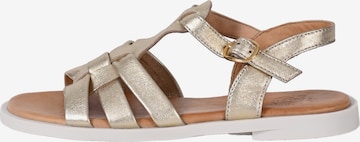 Apple of Eden Strap Sandals in Beige