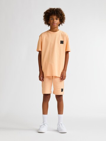 Petrol Industries Regular Trousers in Orange