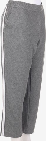 FRAPP Pants in XXXL in Grey: front