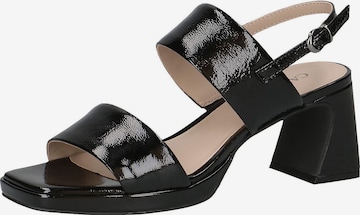 CAPRICE Sandals in Black: front