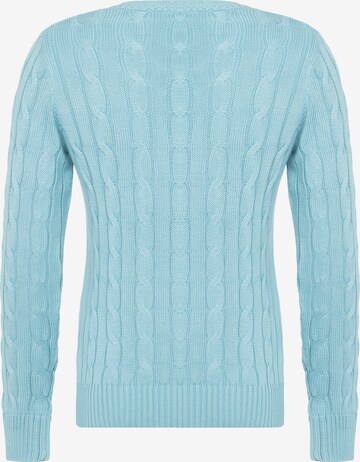 DENIM CULTURE Pullover 'Ludovica' in Blau: predná strana