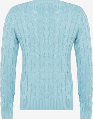 DENIM CULTURE Sweater 'Ludovica' in Blue: front