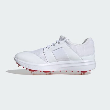 ADIDAS PERFORMANCE Voetbalschoen 'Howzat Spike 20' in Wit