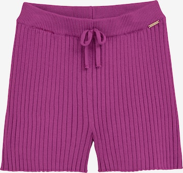 purpurinė WE Fashion Standartinis Kelnės: priekis