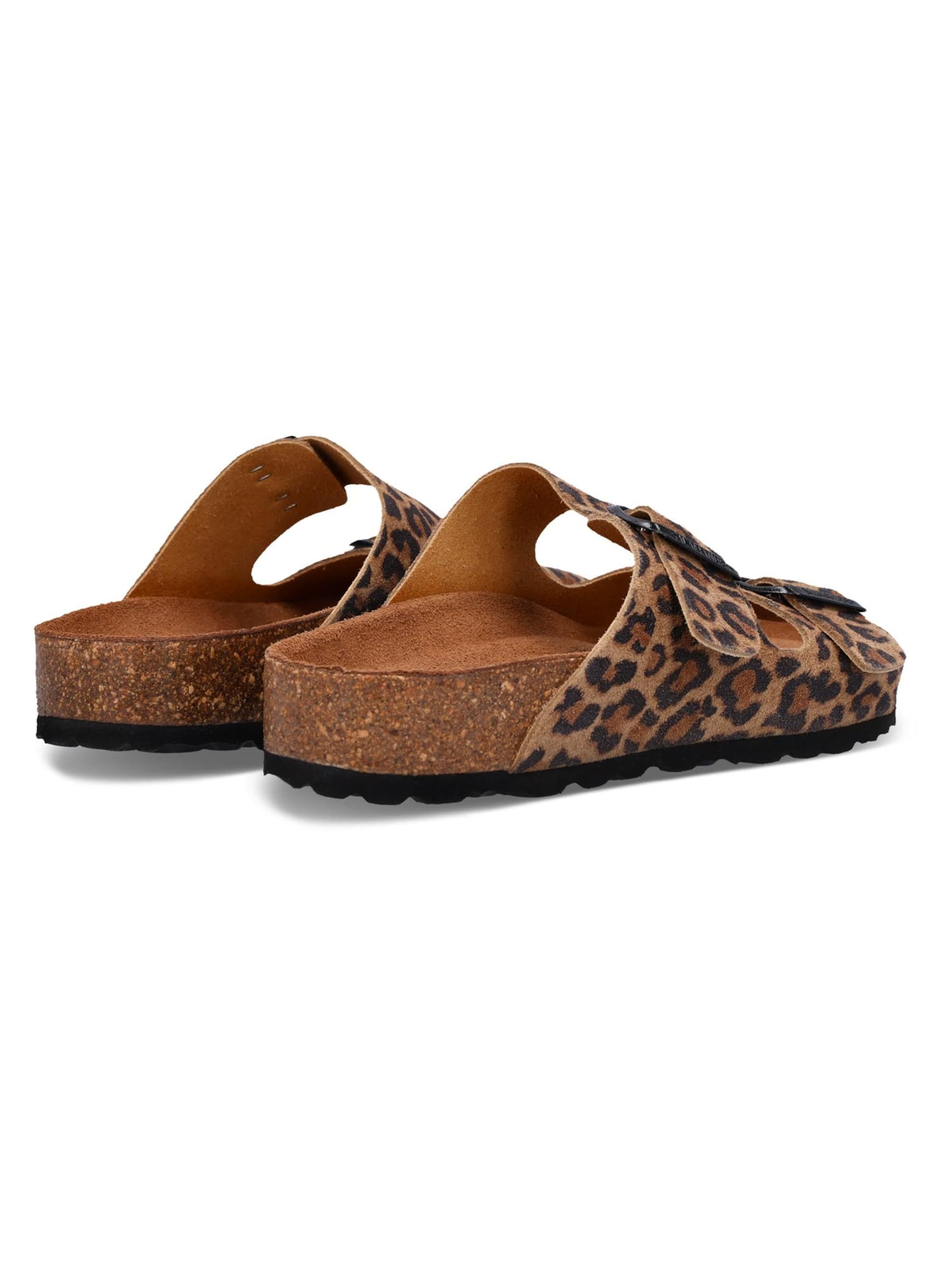 SALAMANDER Mules 'Basic' in Mixed colors