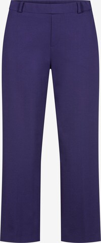 STEHMANN Pleated Pants in Blue: front