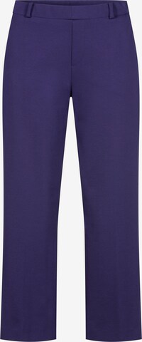 STEHMANN Wide leg Pleated Pants in Blue: front