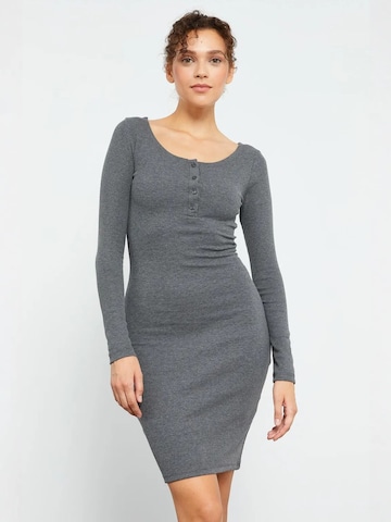 Tommy Life Dress in Grey: front