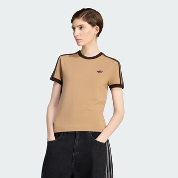 T-shirt 'Cali' ADIDAS ORIGINALS en marron : devant