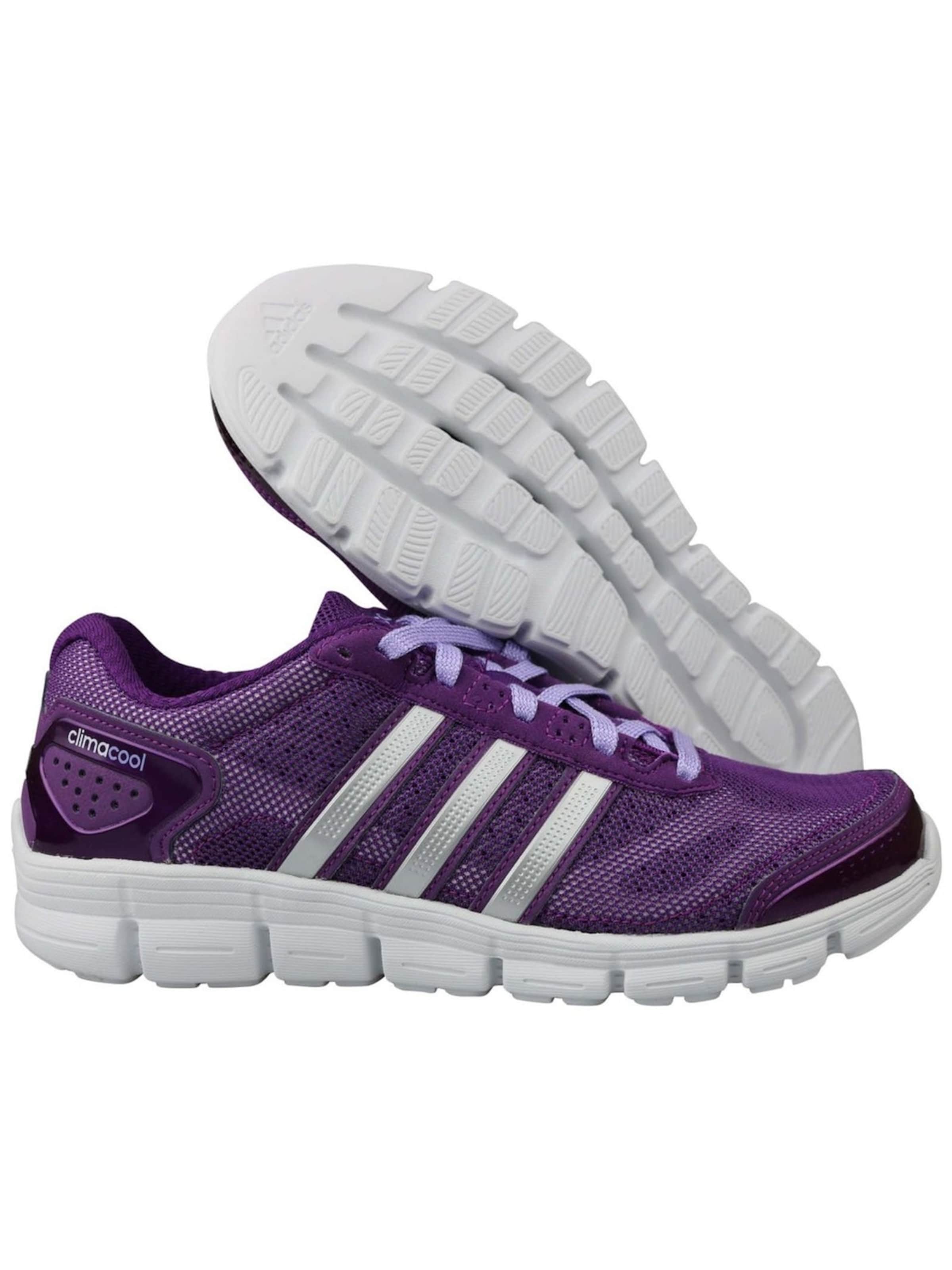 Adidas Sport Sportschuh 'CC Fresh Climacool'‌‌‌‌‌‌‌‌‌ in Lila
