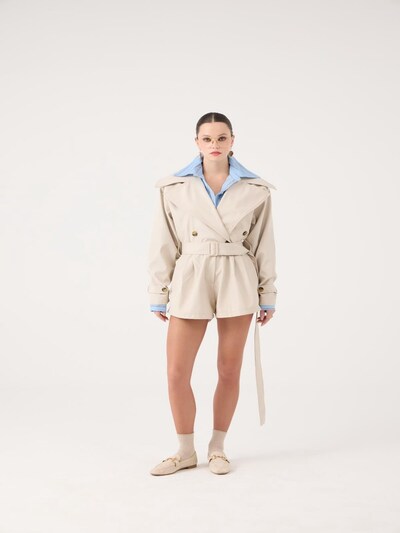 HOLLY LOLLY Jumpsuit in L in brokat, Produktansicht