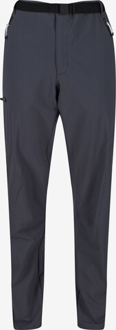 REGATTA Regular Outdoor Pants 'Xert III' in Grey: front