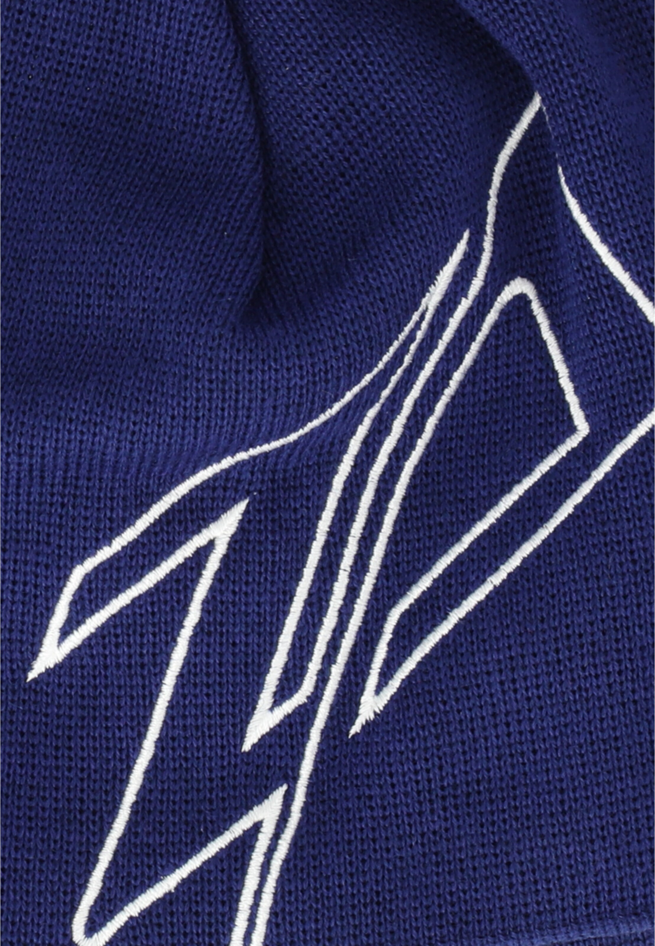 Zanier Beanie 'YBBS UX' in Blue