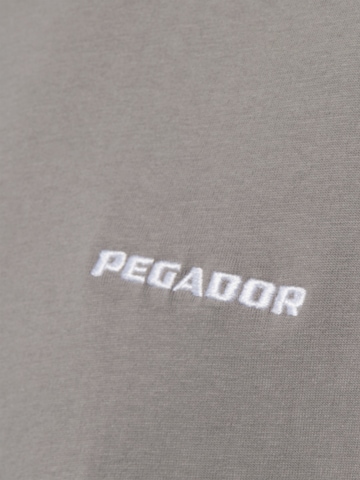 Pegador T-Shirt in Grau