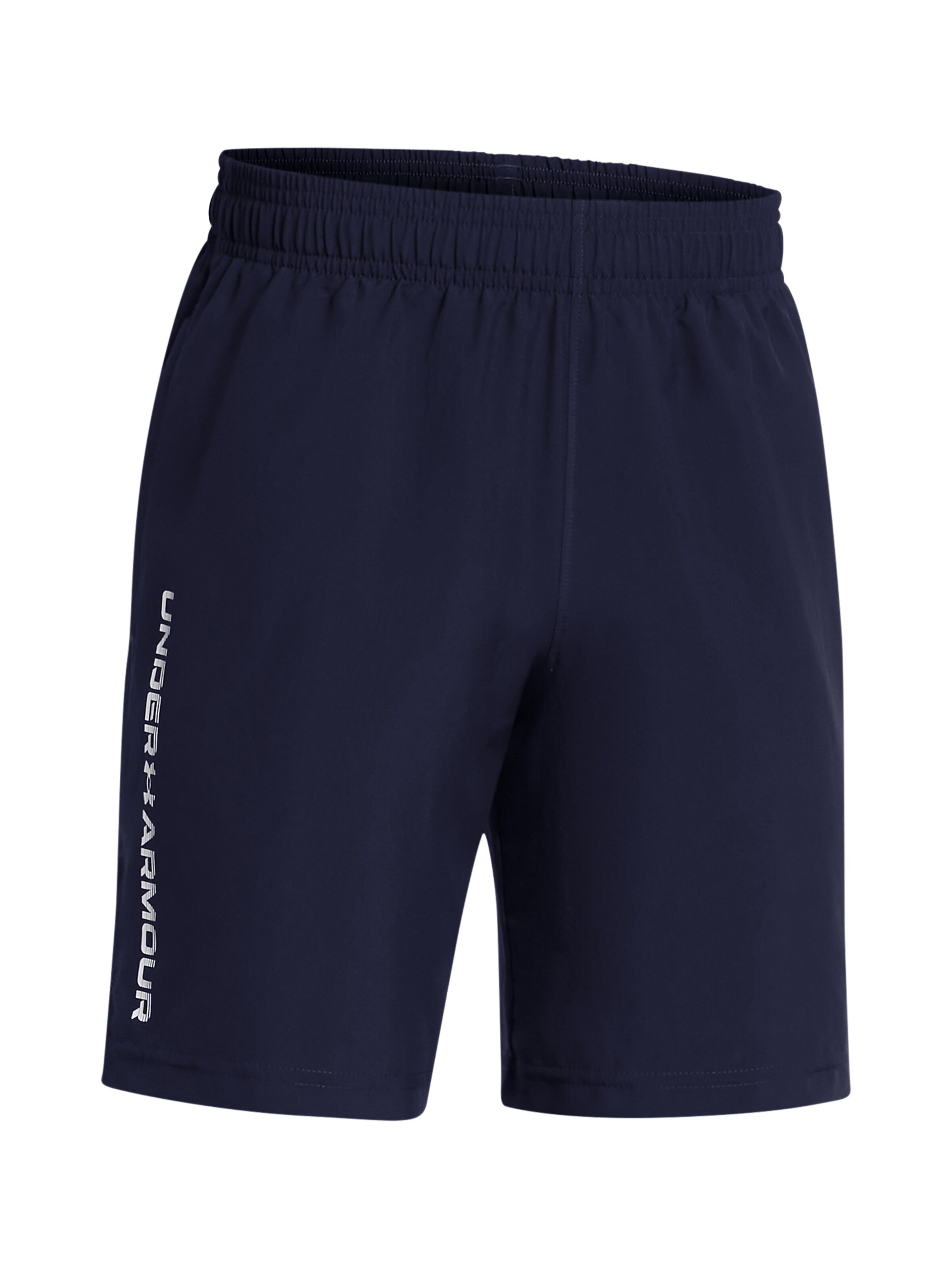 UNDER ARMOUR Regular Sports trousers in Blue
