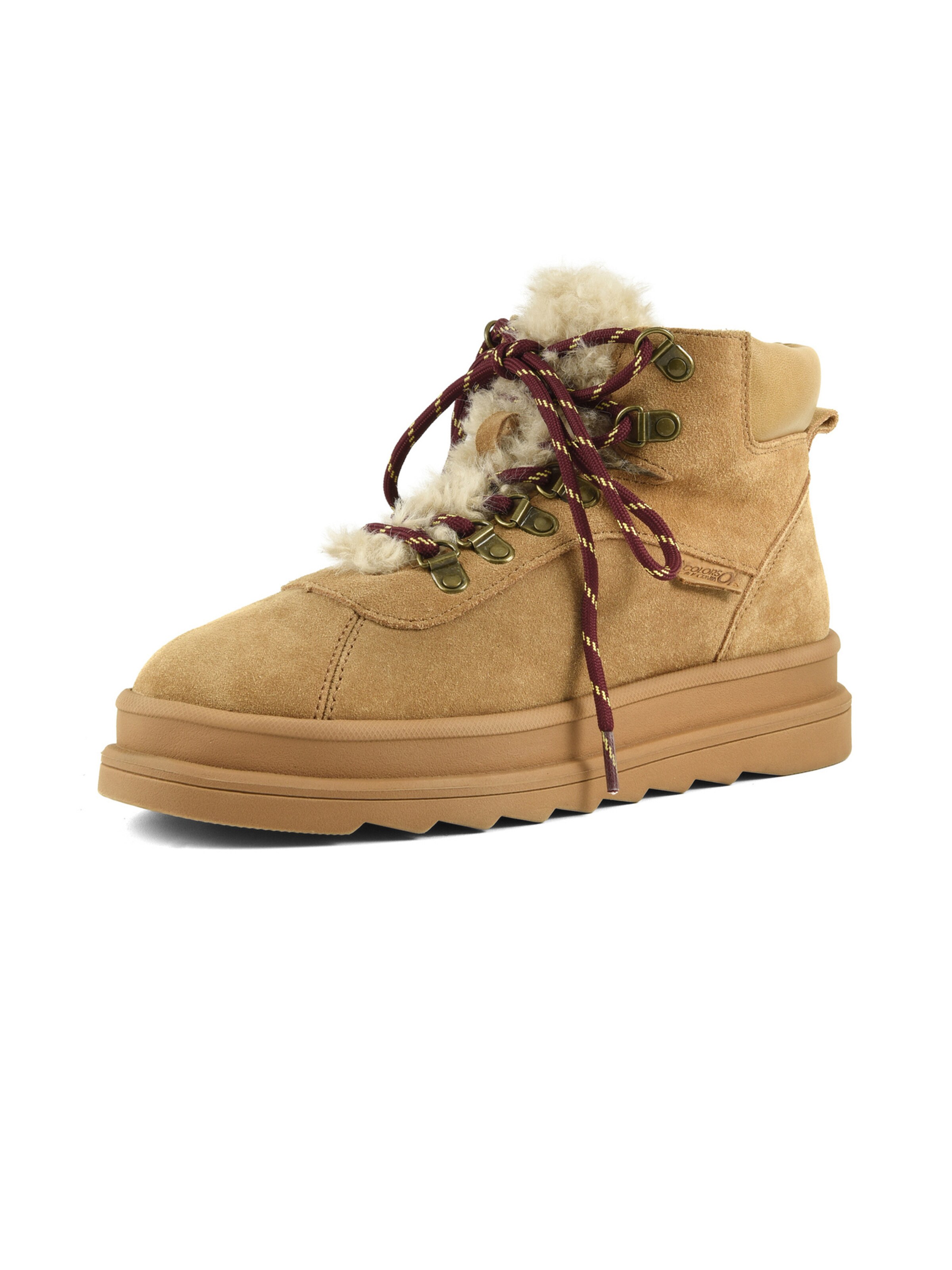 Stivaletto stringato di COLORS OF CALIFORNIA in marrone: frontale