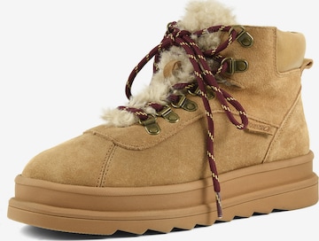 Stivaletto stringato di COLORS OF CALIFORNIA in marrone: frontale