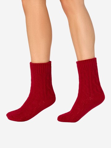 Nur Die Sokken ' Flausch Socken ' in Rood